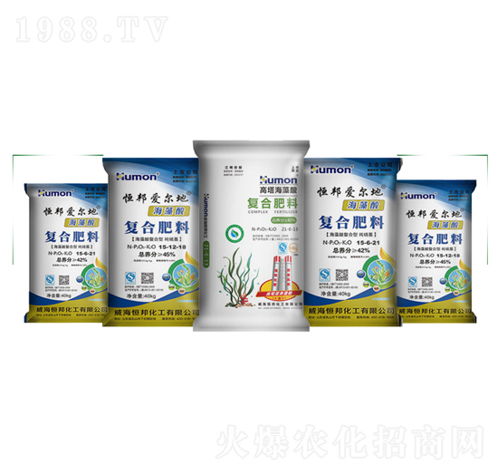 ������ͺϷ�-����