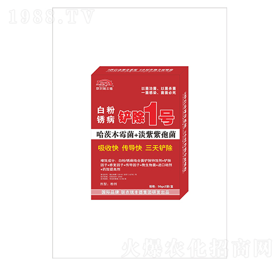 �׷��P���P��1̖-(li��n)�r(n��ng)���S��