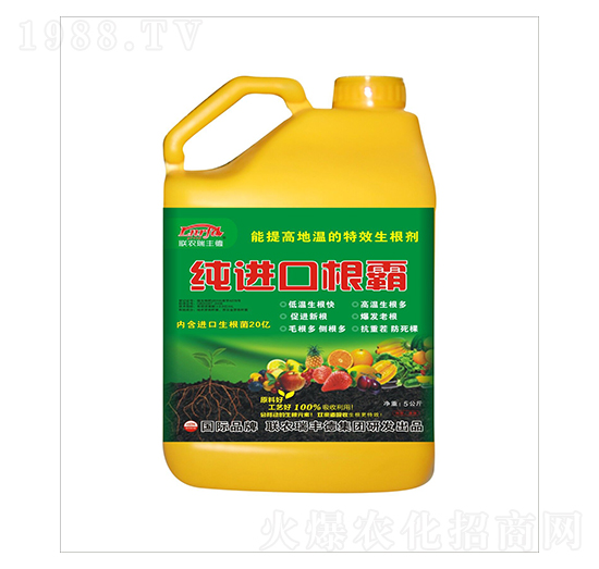 ������-���M�ڸ���-���S��