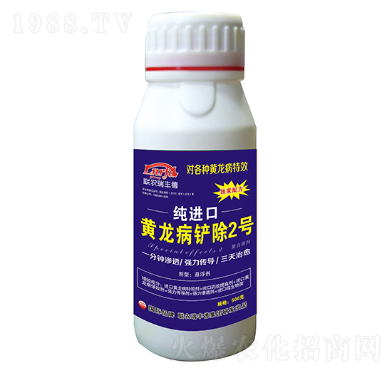 �������-���M(j��n)���S�����P��2̖-���S��