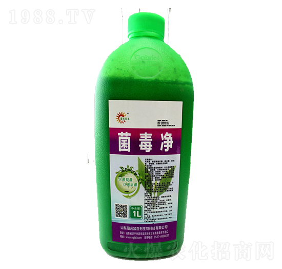 ������-ꖹ�Ӱ���