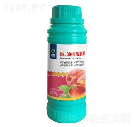 �ҡ����ҷ�����-�R������