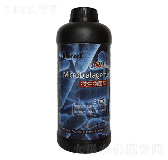 ΢�������-��ؐ��-�Ɲ��r��