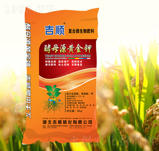 �ͺ�΢�����-��ĸԴ�S���-���