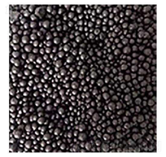 大豆有機(jī)肥-九潤農(nóng)業(yè)