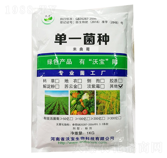 ����ù-�֌�����