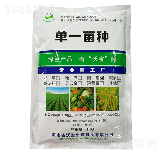 ��(c��)��ѿ�ߗU��-�֌�����