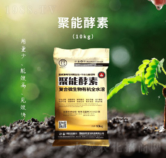 ���ܽ���-��������