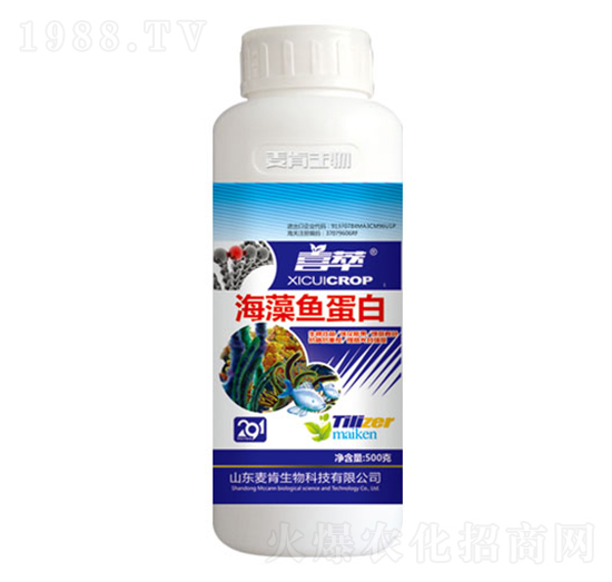 �����~����-��������