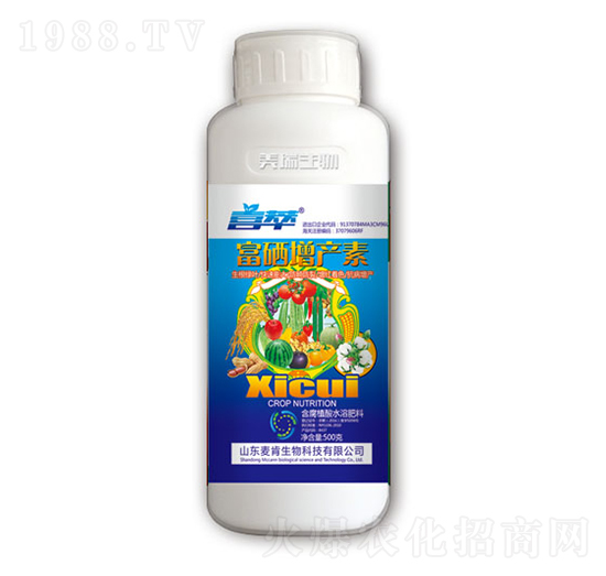 �������a(ch��n)��-��������