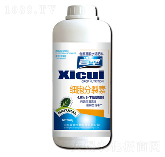 ����������-��������