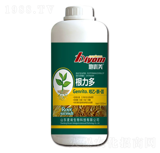 ������-��������