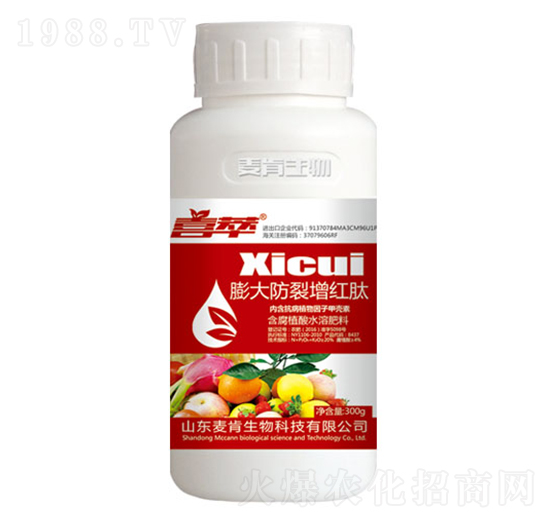 ϲ�����������t��-ϲ��-��������