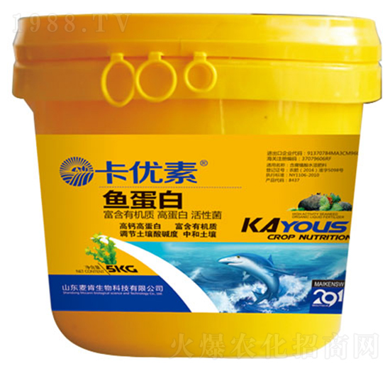 ����(y��u)���~����-��������