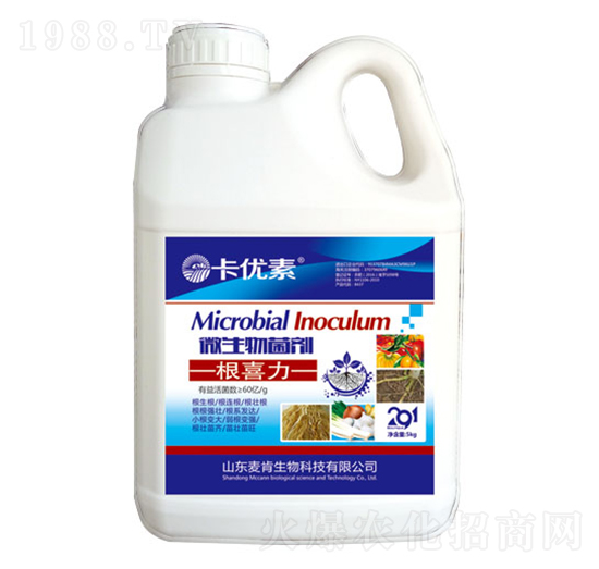 ΢���������ϲ��-��������