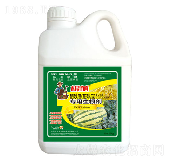 ������ɰ�ό�(zhu��n)��������-��������