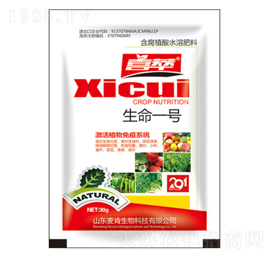 ����һ̖(h��o)-��������