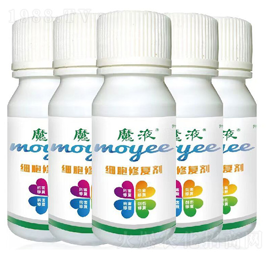 ħҺ�����ޏ�(f��)��-���a(ch��n)��