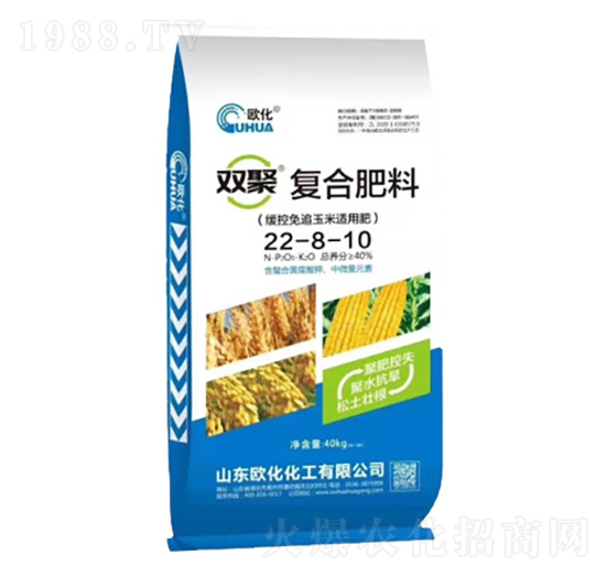 �p�ۏ�(f��)�Ϸ���22-8-10-�W��