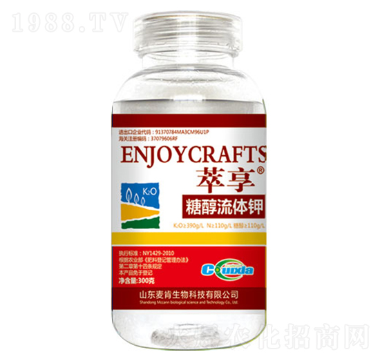 �Ǵ����w�-��������