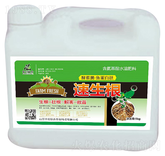 ������-�A��(chu��ng)(li��n)��