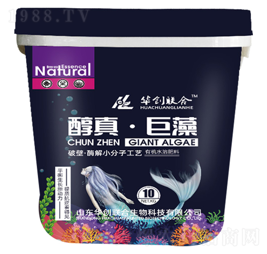 ���桤����-�A��(chu��ng)(li��n)��