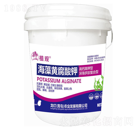 �����S�����-ֲ�^-�����r(n��ng)�I(y��)