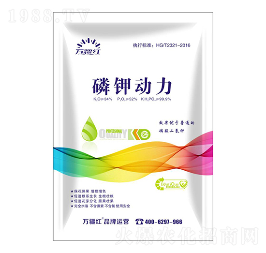 ��⛄���-�f���t