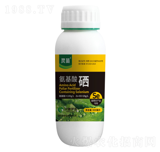 ��������-�`��-�ֵ����Z