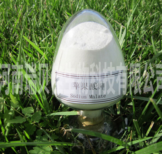 �O�����-��ؐ������