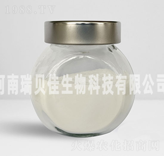 ���T�������}-��ؐ������