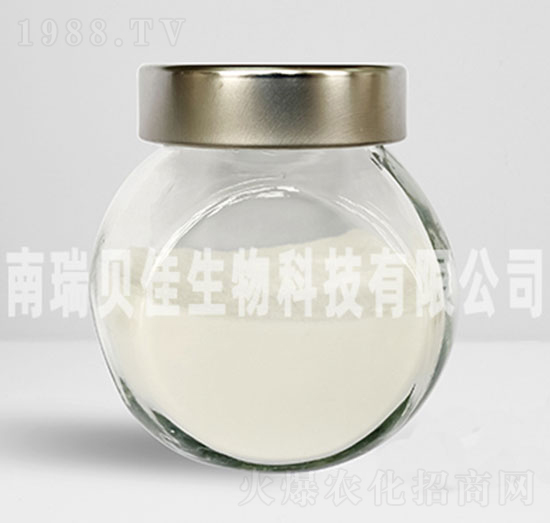 �����������\-��ؐ������