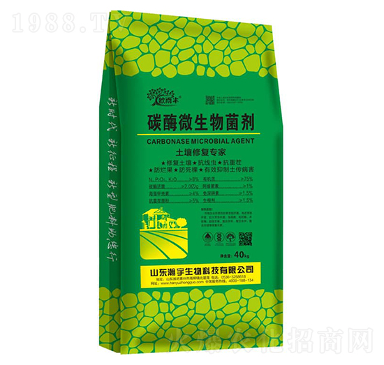 ̼ø΢�������-�������