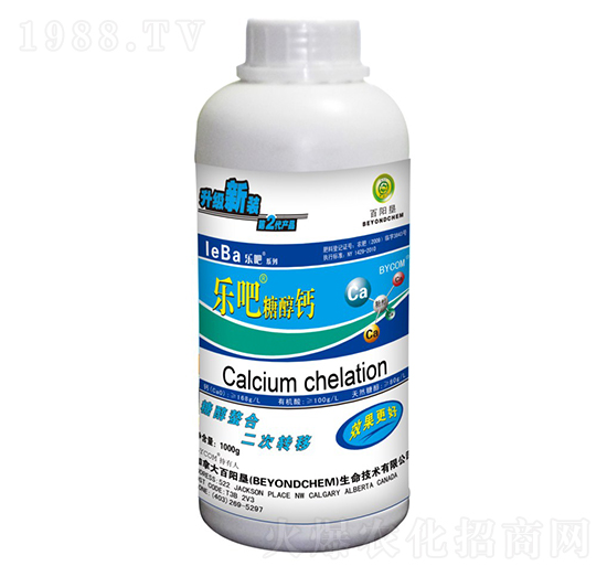 1000g�����Ǵ��}-��ꖉ�