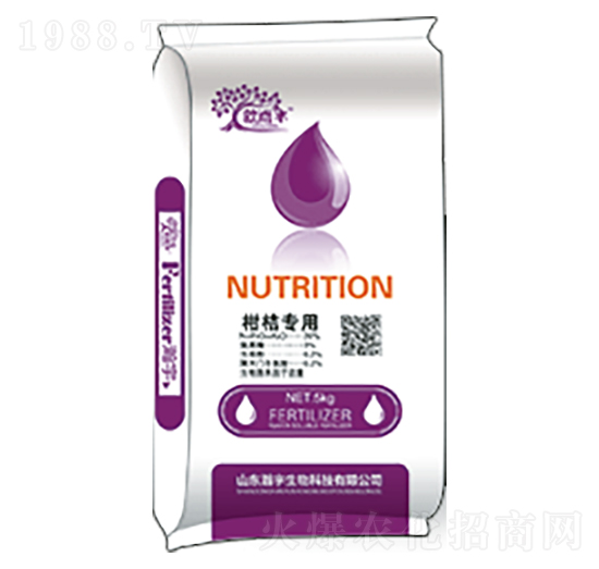 �̽ی���-�������