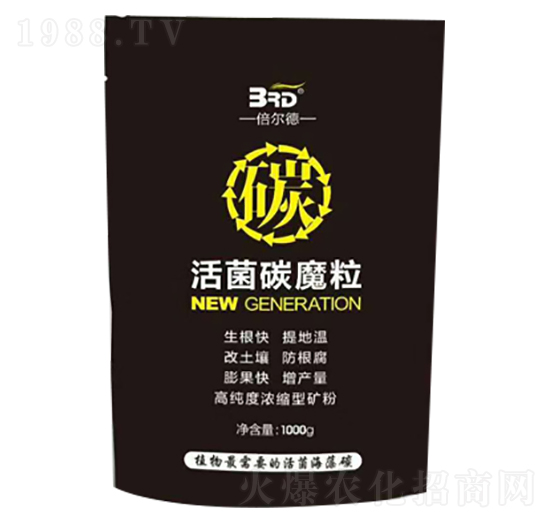 ���̼ħ��-������