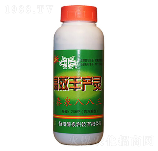 �S�a(ch��n)�`-��Ȫ