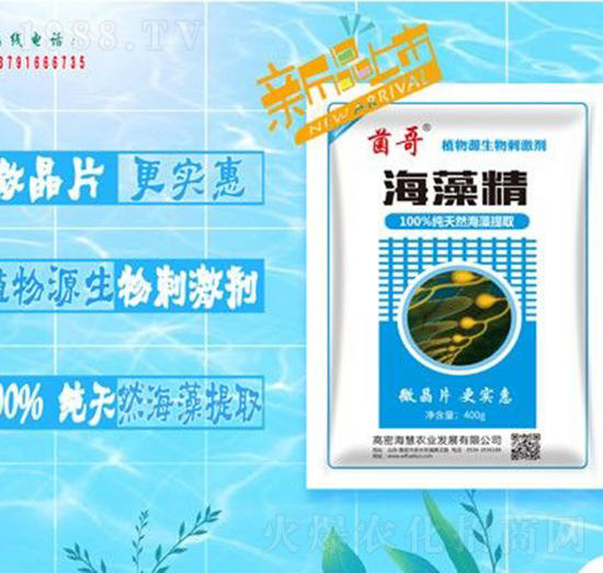 ���徫-����