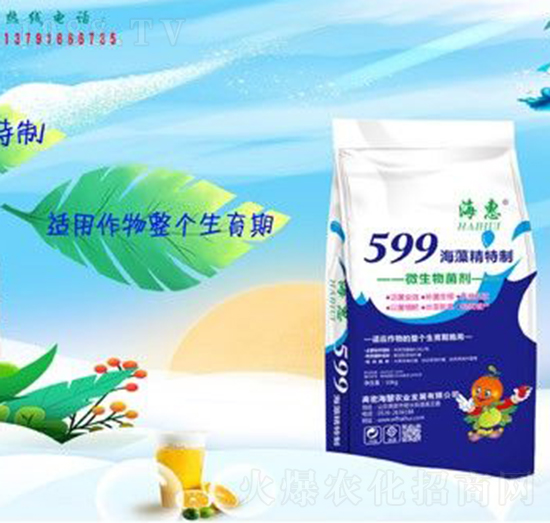 599���徫����-����