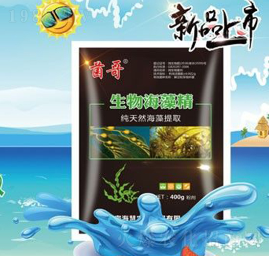 ���ﺣ�徫-����