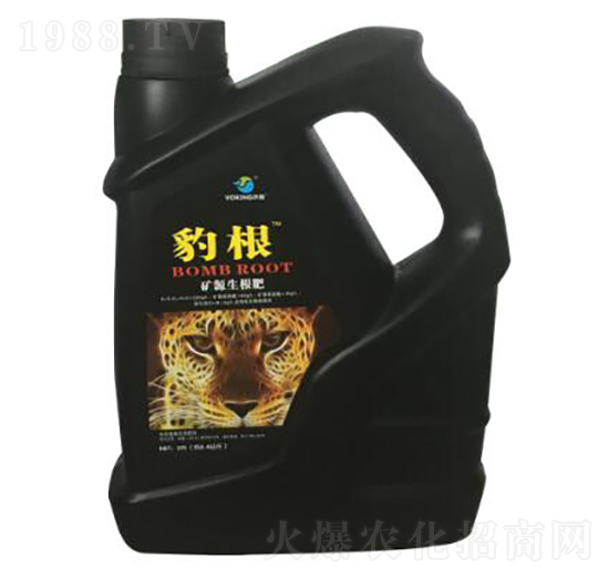 �VԴ������-����-���L