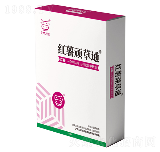 �t���B��ͨ-���A����