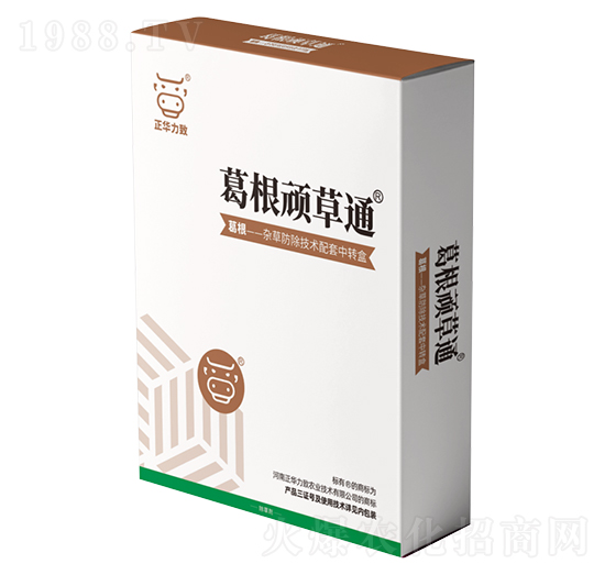 ����B��ͨ-���A����