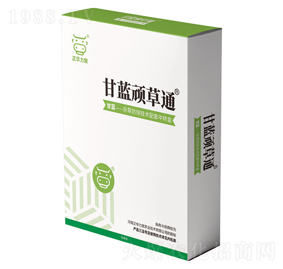 ���{�B��ͨ-���A����