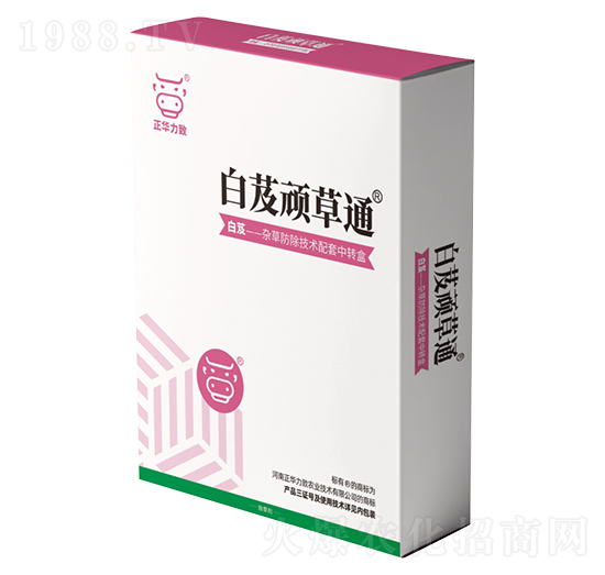 ��ܸ�B��ͨ-���A����