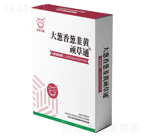 ���[�����[�����S�B��ͨ-���A����