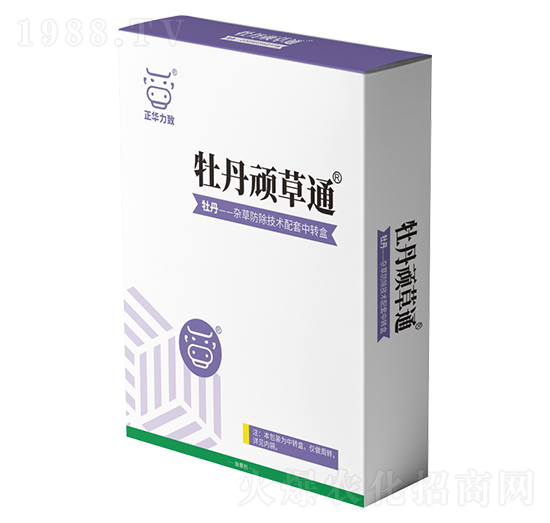 ĵ���B��ͨ-���A����