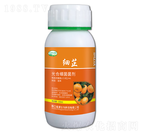 ��(x��)�ƹ�ϼ�(x��)������-ʢԴ