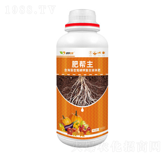 �������͵���⛏ͺ�Һ�w��-�ʎ���-�°��~��