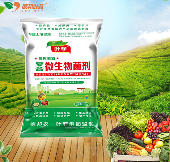 ��(f��)��΢�������-ø�����-�°��~��